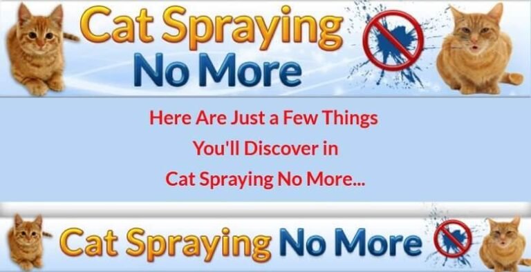 Cat Spraying No More Review: Best Solution for Cat Owners