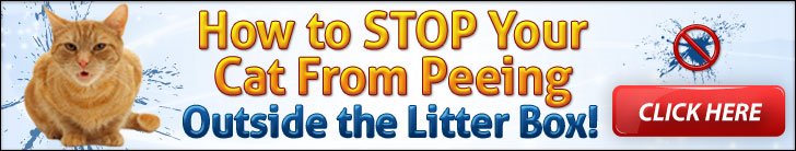 Cat Spraying No More ad1