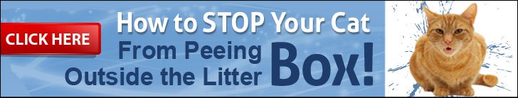 Cat Spraying No More ad2