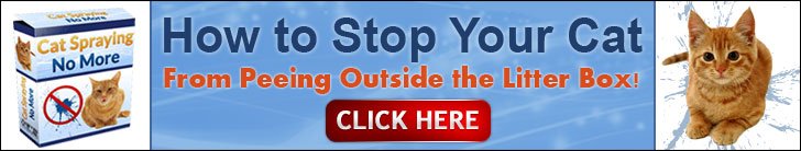 Cat Spraying No More ad3