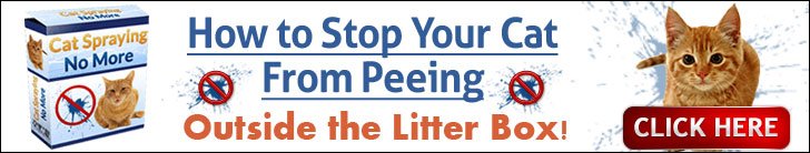 Cat Spraying No More ad4