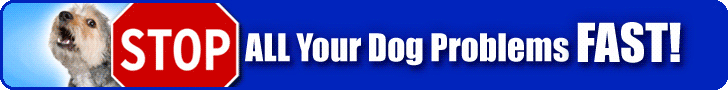 The Online Dog Trainer review - CrossBreedStop1