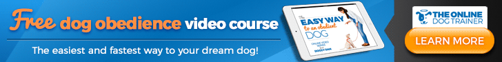 The Online Dog Trainer - EasyWay-Animated
