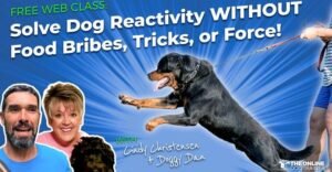 the online dog trainer review