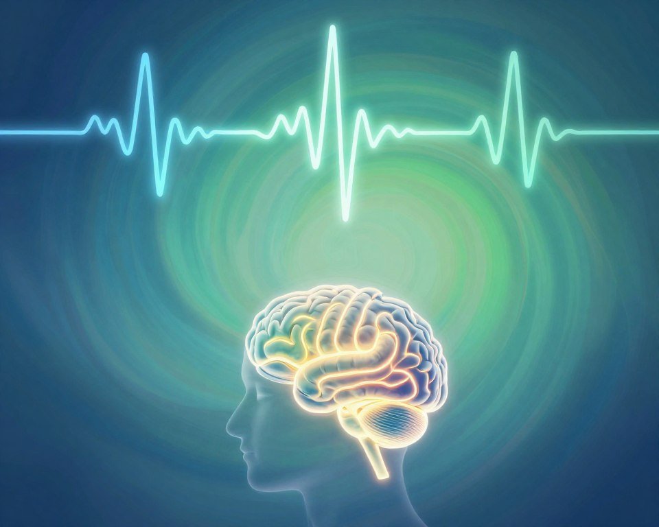 alpha beta and theta waves explained